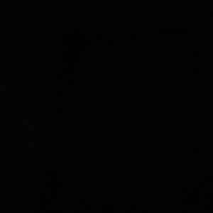 Meet your Posher, Dakota